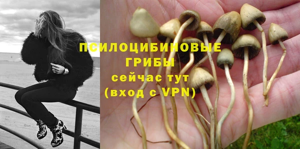 мяу мяу мука Балахна