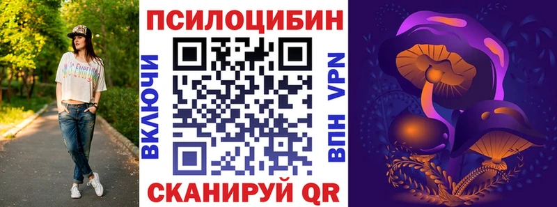 Псилоцибиновые грибы GOLDEN TEACHER что такое Урус-Мартан